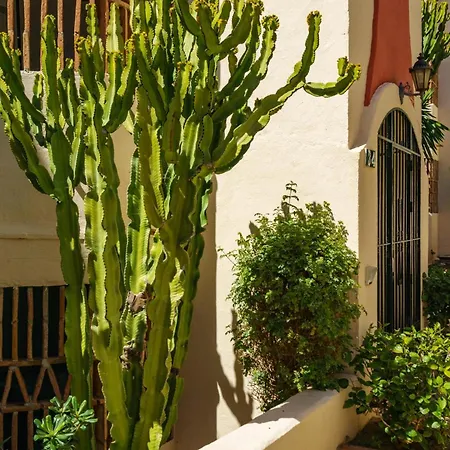 Apartment Riviera Gem: Stunning Sea View Terrace